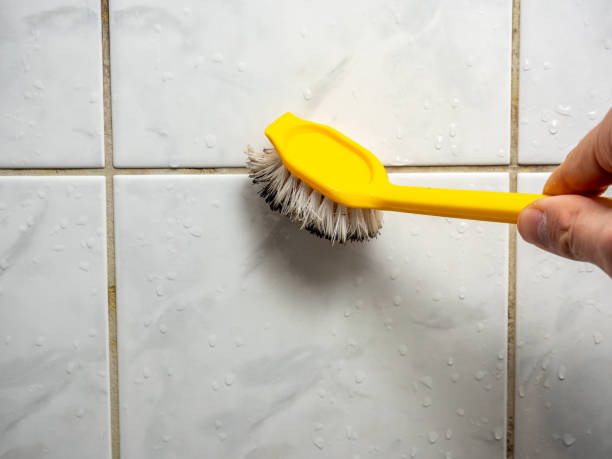 Best Best Mold Removal Companies  in Fairland, OK