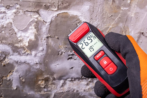 Best Mold Removal and Inspection  in Fairland, OK