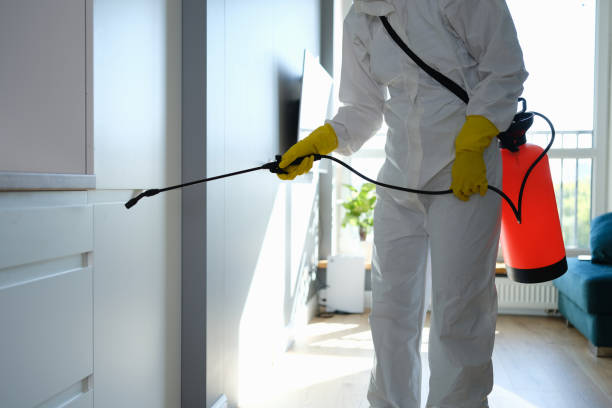 Best Affordable Mold Removal  in Fairland, OK