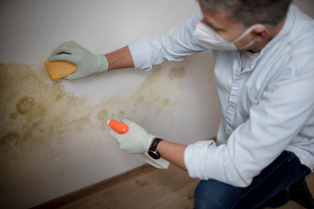 Mold Testing and Removal in Fairland, OK